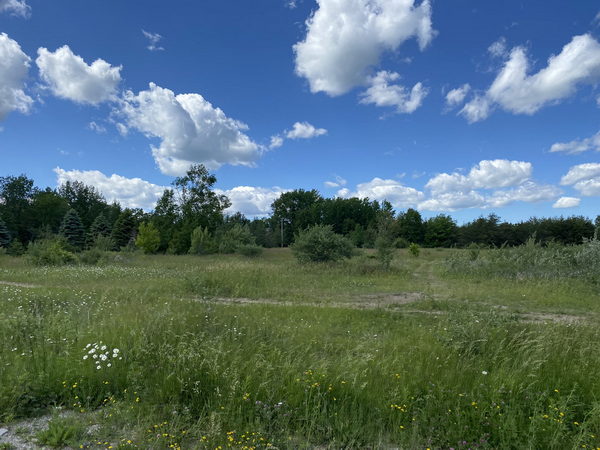 Tawas Drive-In Theatre - June 17 2022 Photo (newer photo)
